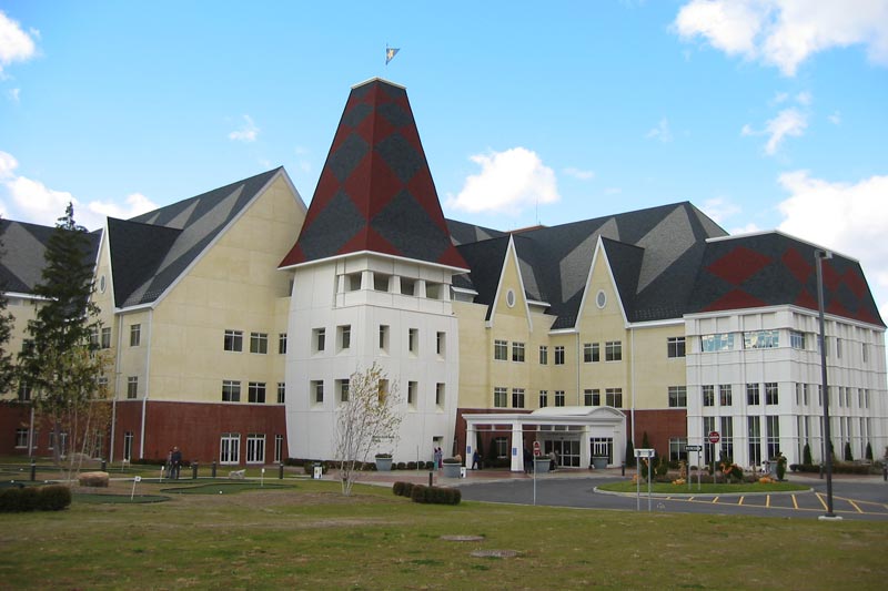 healing environment promotie onderzoek healing environment promotie onderzoek